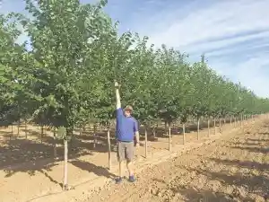 Heidrich's Colorado Tree Farm Nursery ~ growing by growing - Country ...