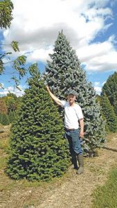 Diversity at Lost Forty Tree Farm