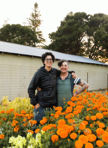 Specializing in mixed-heritage vegetables
