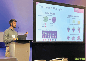 One shade, two shade, red shade, blue shade