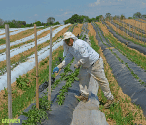 Starting the H-2A process