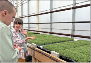 Research & regeneration at Pocono Organics