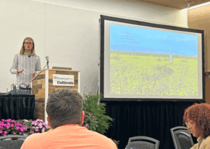 Naturalistic doesn’t mean neglected