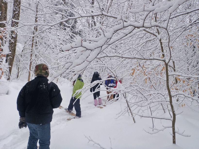 Snowshoeing to be offered at Amboy 4-H Environmental Education Center ...
