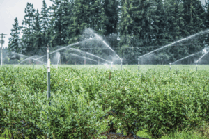 Ultimately, it’s about the flow rate