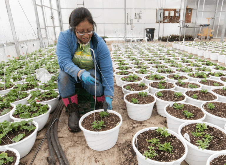 Ultimately, it’s about the flow rate - Country Folks Grower