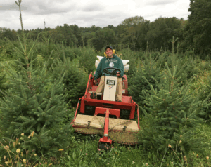Growing Christmas, one tree at a time