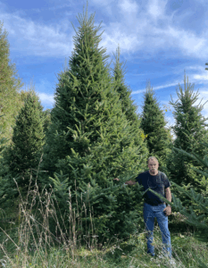 Sweet all year round: Greenwood Tree Farm