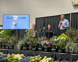 The balance between capability & compostability