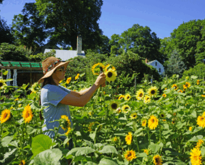Five steps to crisis-proof your agritourism operation