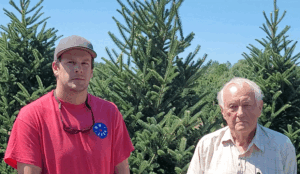 Two trees, two sites: Mt. Anthony Tree Farm
